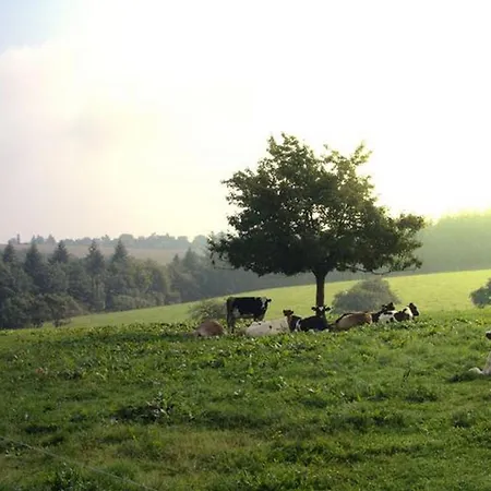 Ferienhaeuser Mia Am Baybachtal Semesterbostad Beltheim