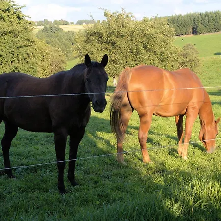 Semesterbostad Ferienhaeuser Mia Am Baybachtal *